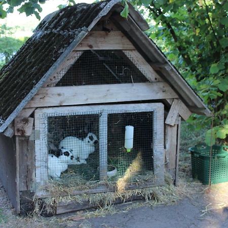 Ferienwohnung Sannhoff Шневердинген Екстериор снимка