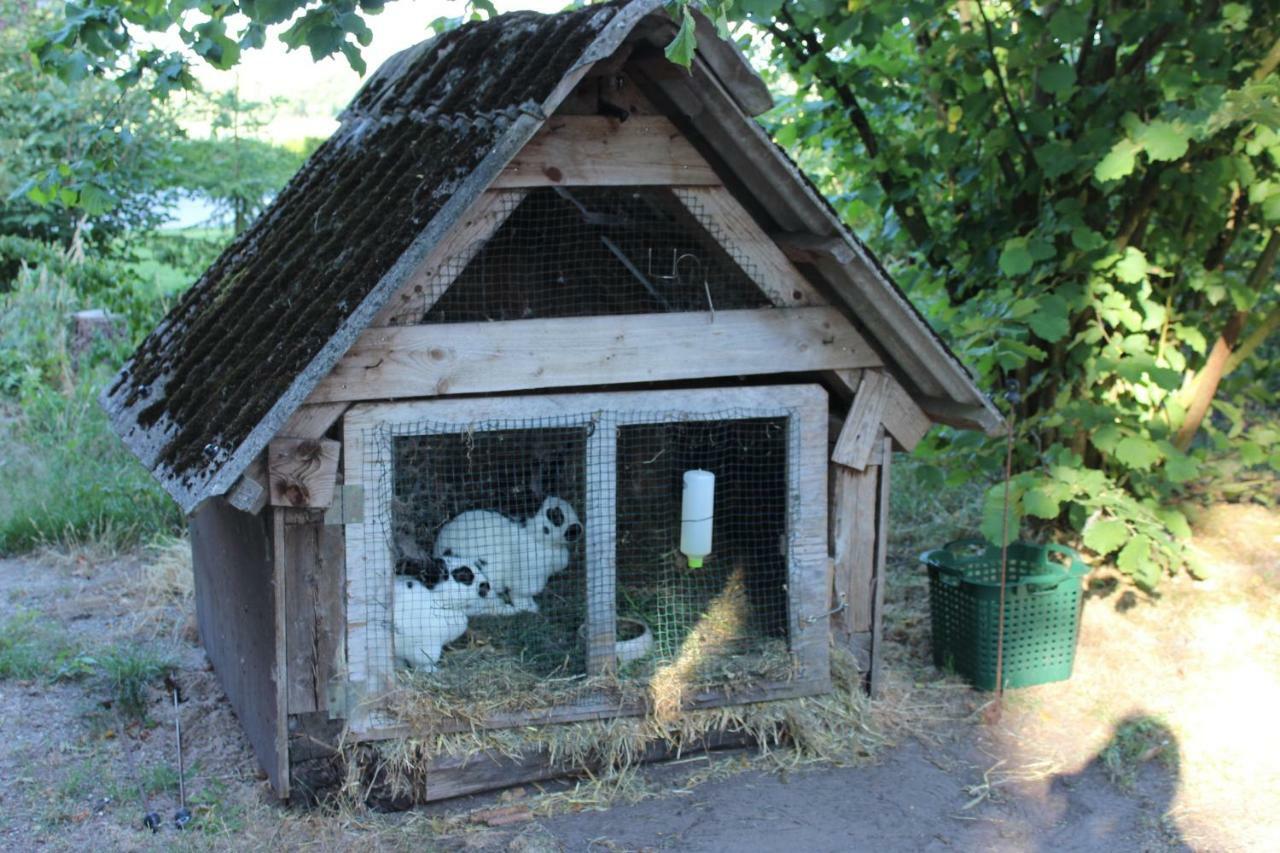 Ferienwohnung Sannhoff Шневердинген Екстериор снимка